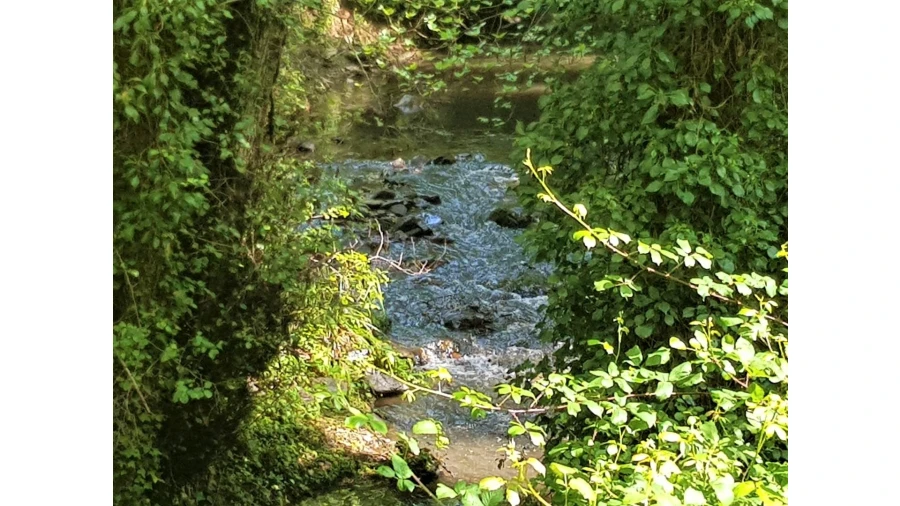 Terreno para Venda em Marmelete Foto 10