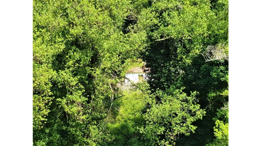 Terreno para Venda em Marmelete Foto 7