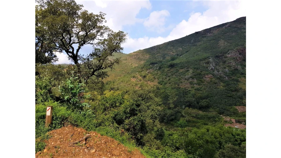 Terreno para Venda em Marmelete Foto 4