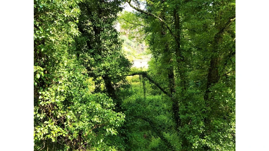 Terreno para Venda em Marmelete Foto 8
