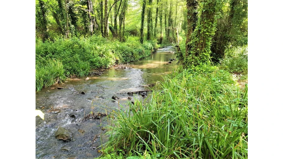 Terreno para Venda em Marmelete Foto 2