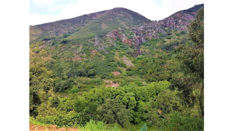 Terreno para Venda em Marmelete Foto 3