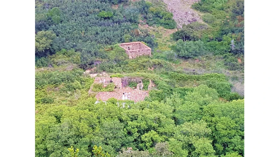 Terreno para Venda em Marmelete