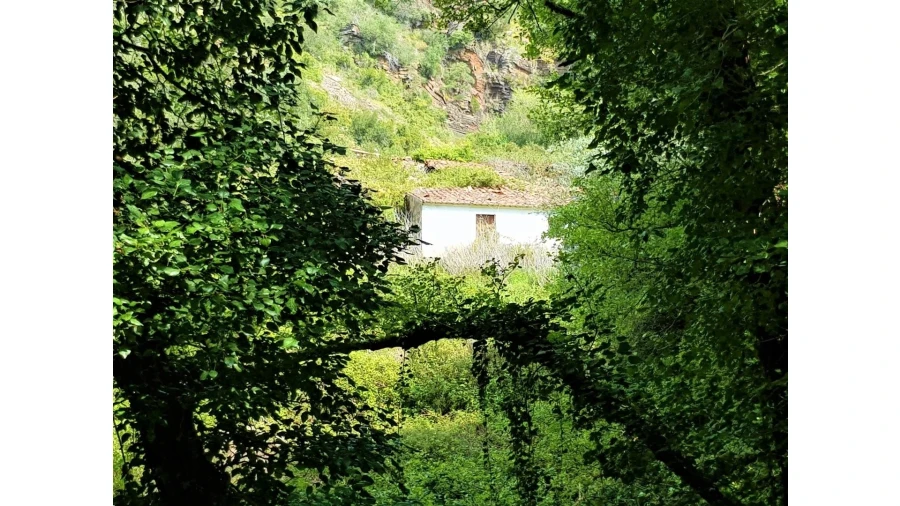Terreno para Venda em Marmelete Foto 9