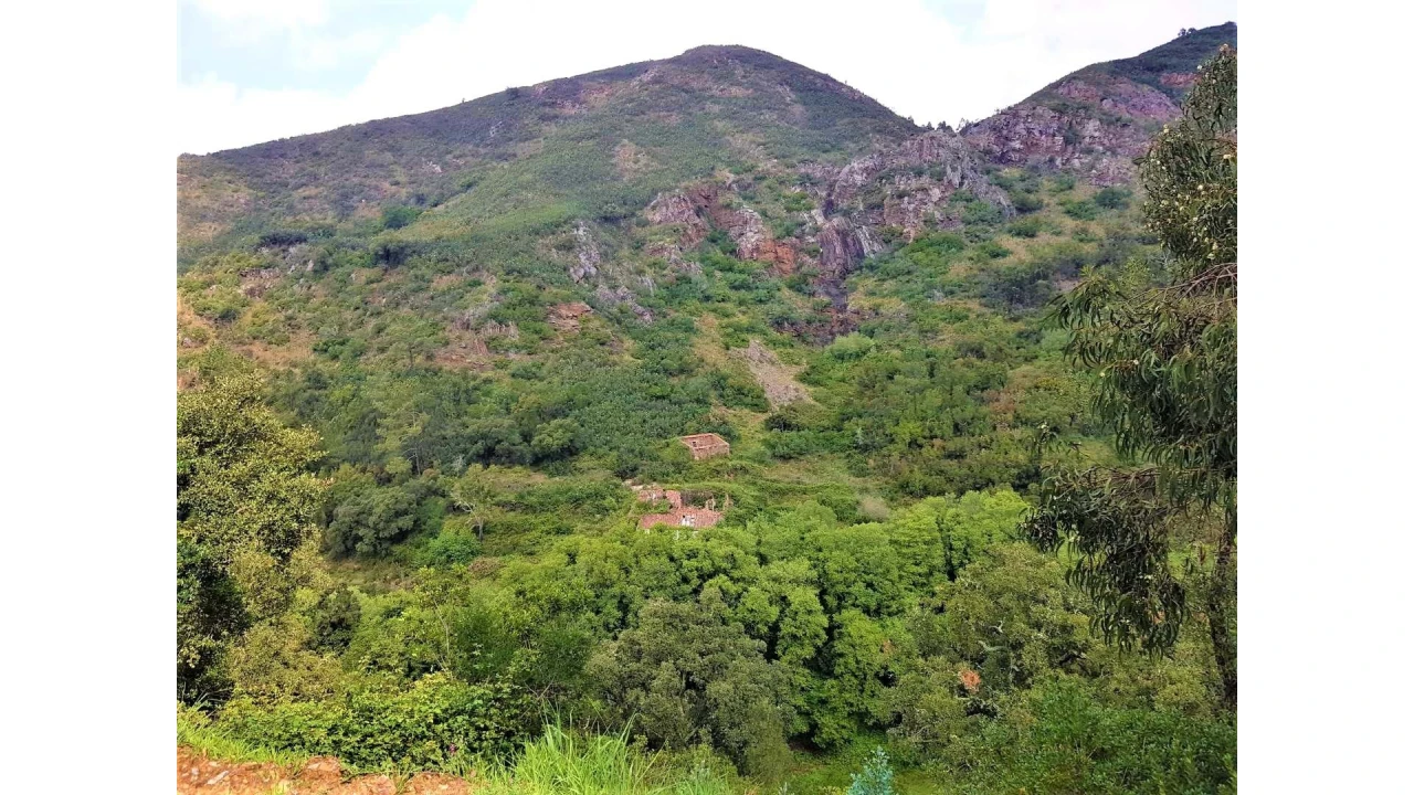Terreno para Venda em Marmelete Foto 3