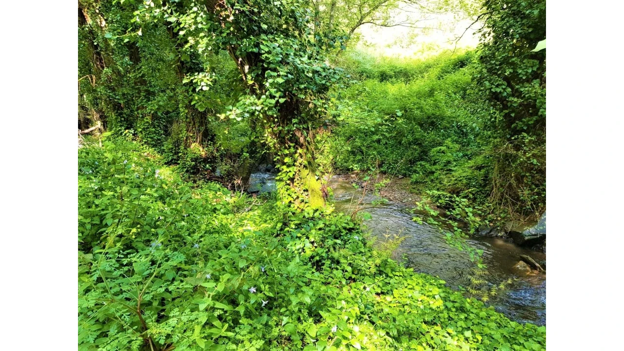 Terreno para Venda em Marmelete Foto 11