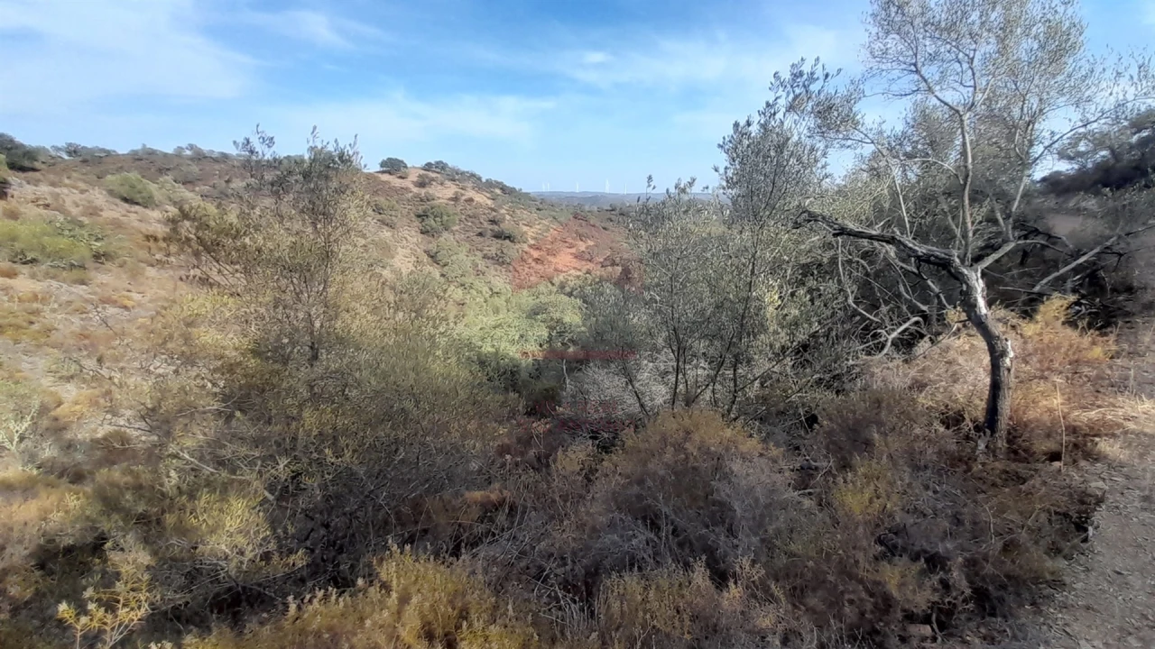 Terreno Agricola ou Rústico para Venda em Alcoutim e Pereiro Foto 3