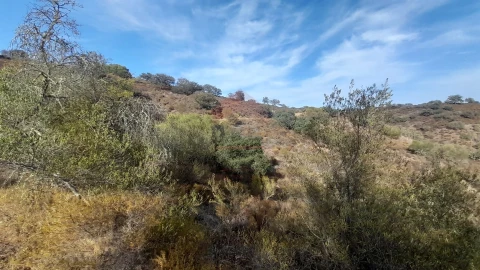 Terreno Agricola ou Rústico para Venda em Alcoutim e Pereiro