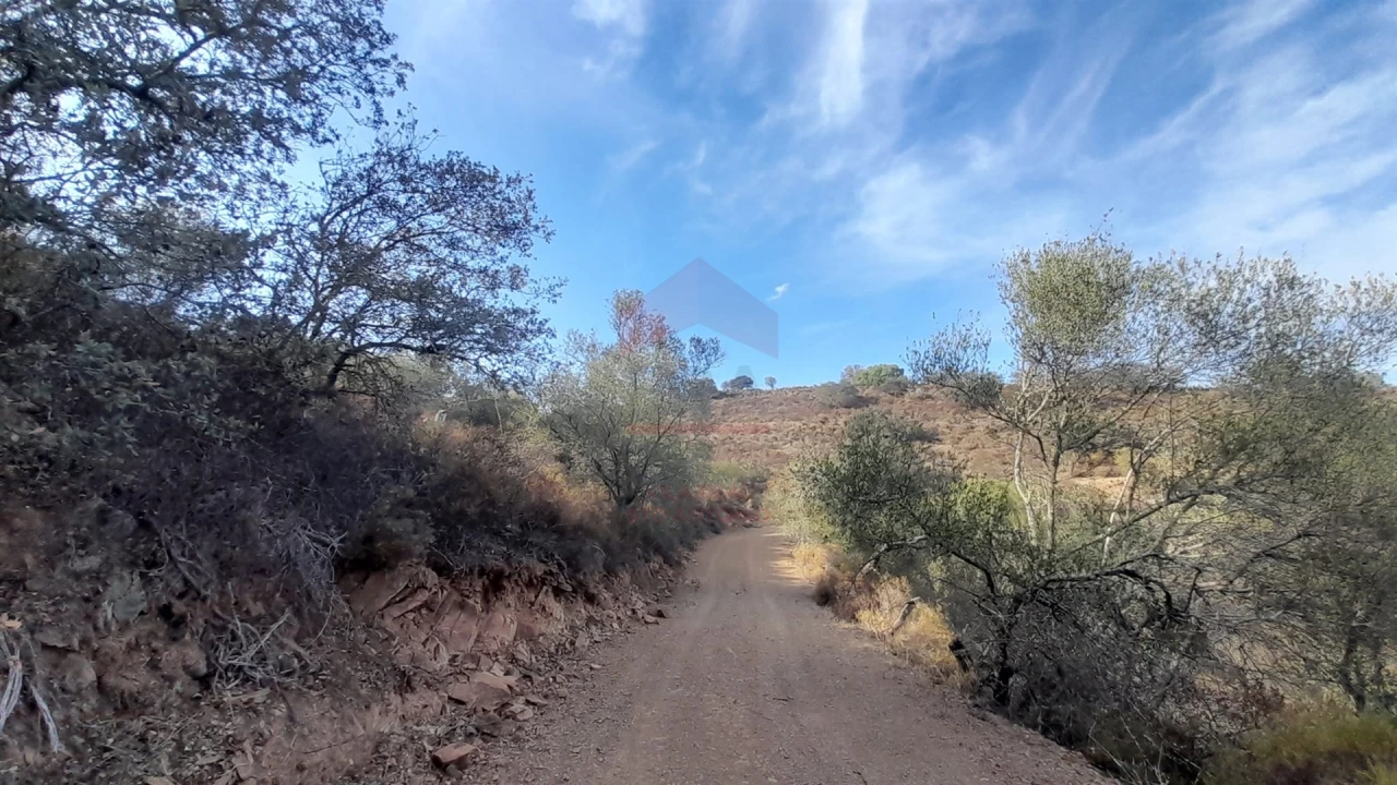 Terreno Agricola ou Rústico para Venda em Alcoutim e Pereiro Foto 5