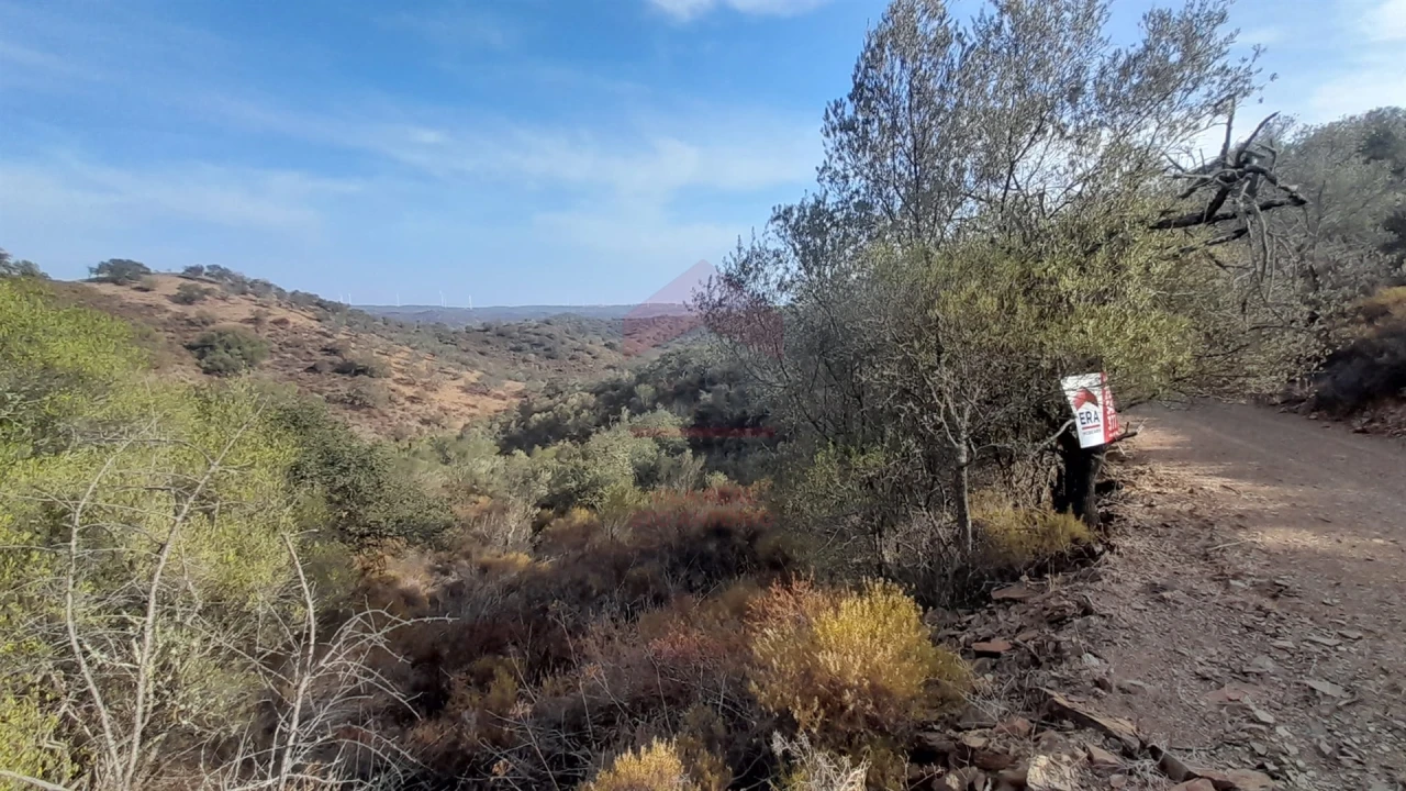Terreno Agricola ou Rústico para Venda em Alcoutim e Pereiro Foto 2