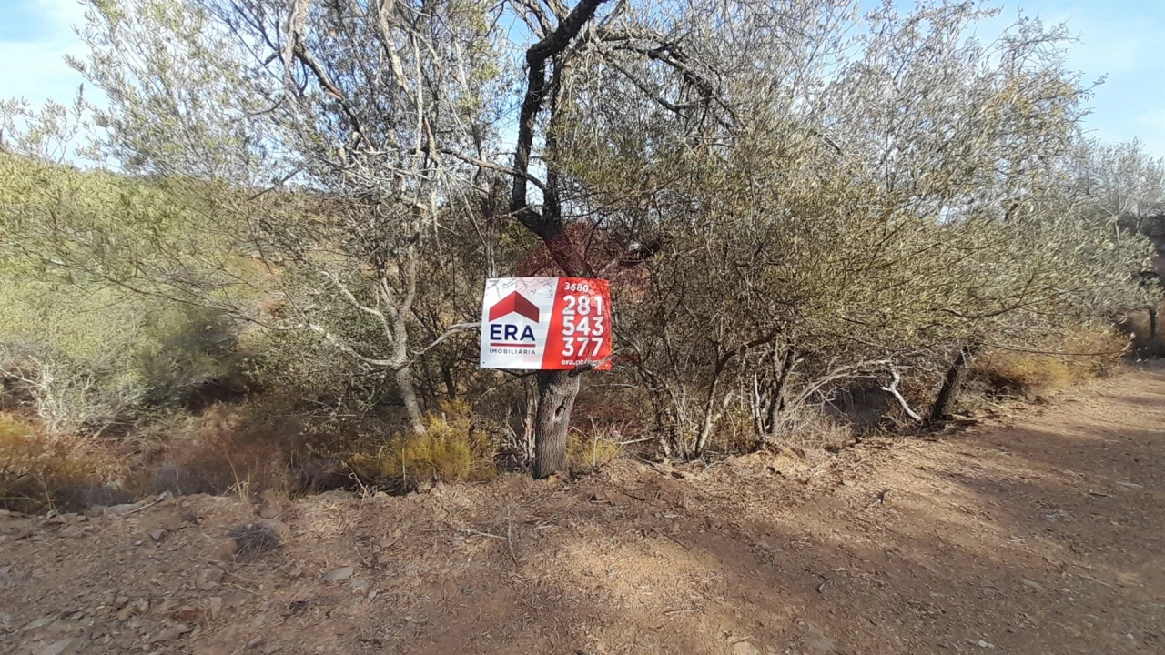 Terreno Agricola ou Rústico para Venda em Alcoutim e Pereiro Foto 1