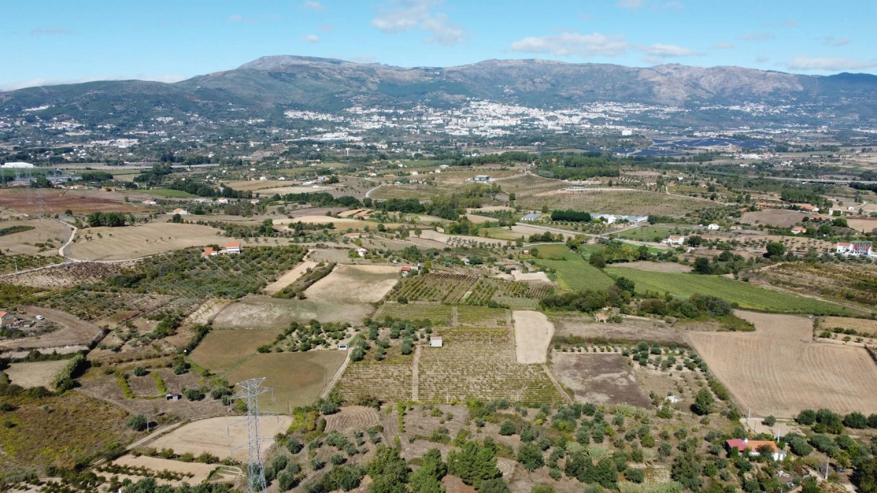Terreno Agricola ou Rústico para Venda em Ferro Foto 4