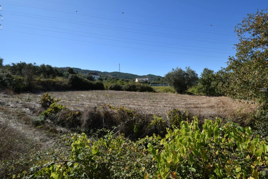 Terreno Agricola ou Rústico para Venda em Ferro Foto 24