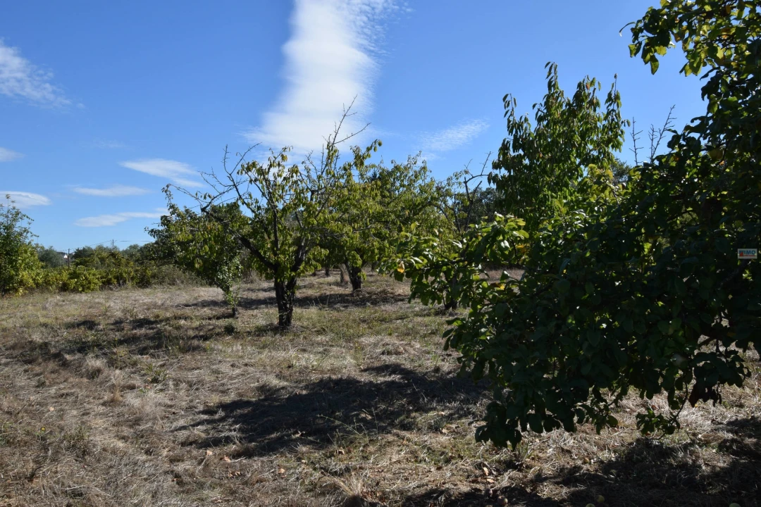 Terreno Agricola ou Rústico para Venda em Ferro Foto 23
