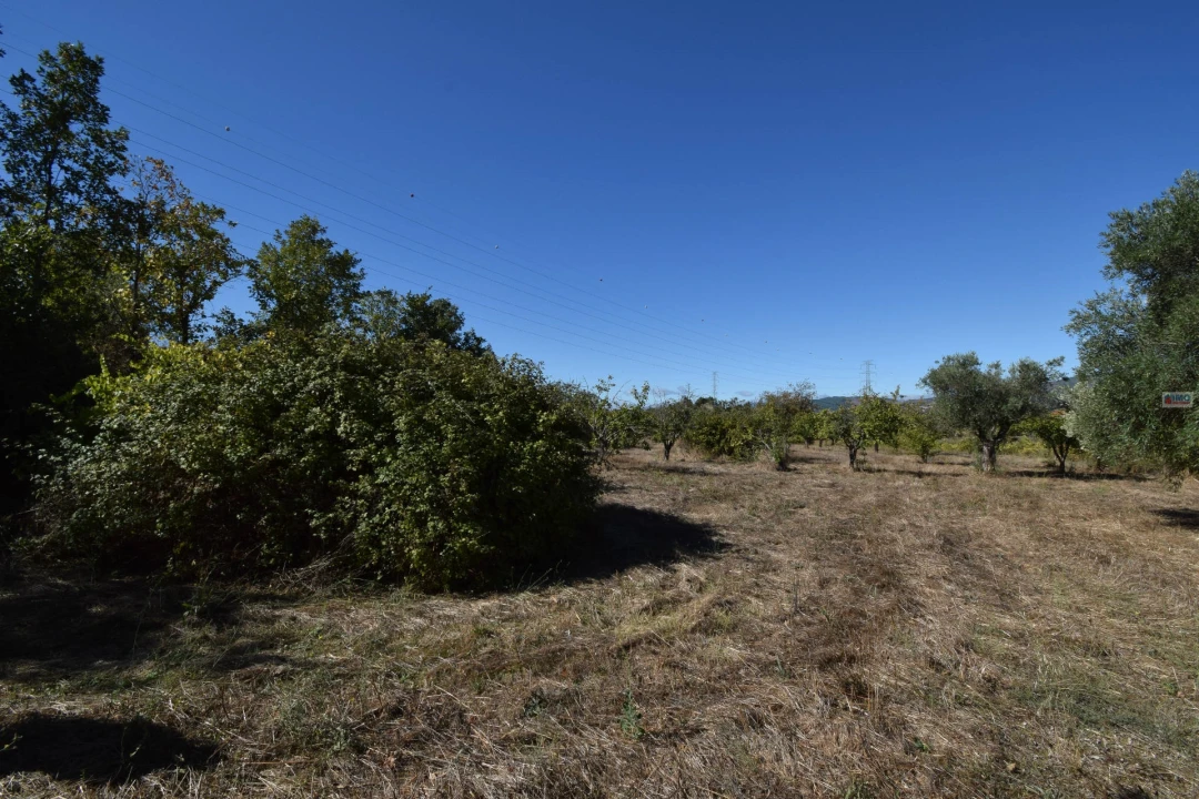 Terreno Agricola ou Rústico para Venda em Ferro Foto 21