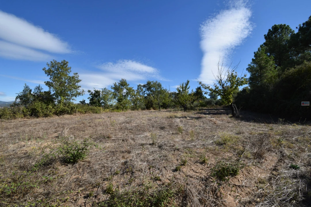 Terreno Agricola ou Rústico para Venda em Ferro Foto 14
