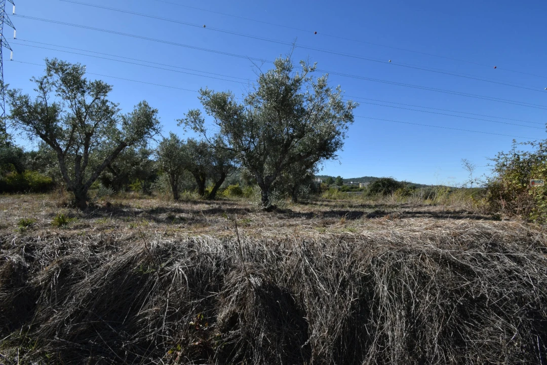 Terreno Agricola ou Rústico para Venda em Ferro Foto 25