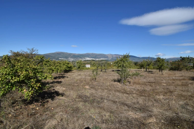 Terreno Agricola ou Rústico para Venda em Ferro Foto 15