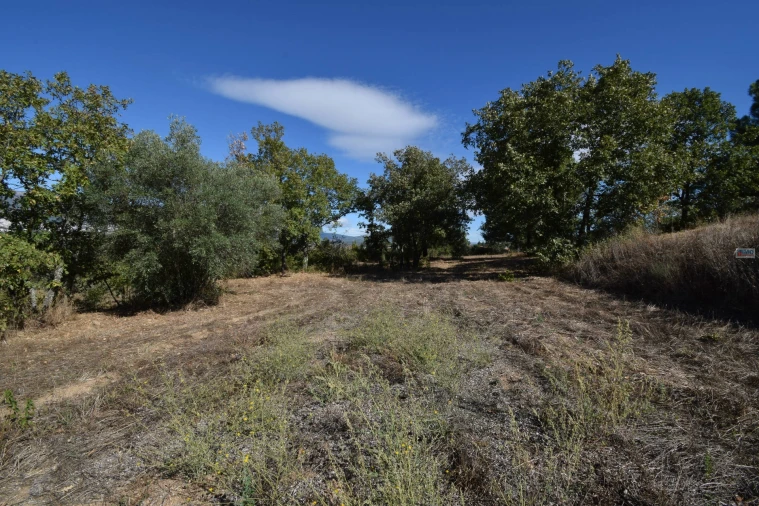 Terreno Agricola ou Rústico para Venda em Ferro Foto 10