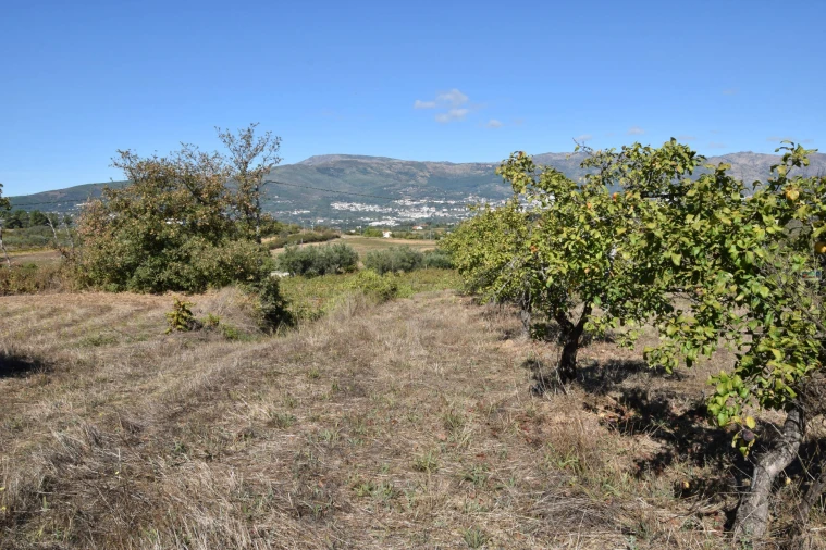 Terreno Agricola ou Rústico para Venda em Ferro Foto 26