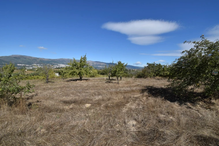 Terreno Agricola ou Rústico para Venda em Ferro Foto 18