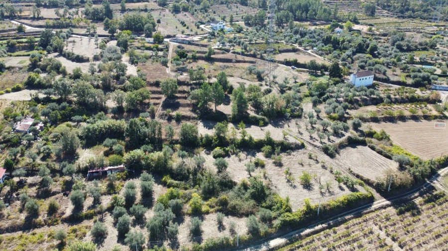 Terreno Agricola ou Rústico para Venda em Ferro Foto 5
