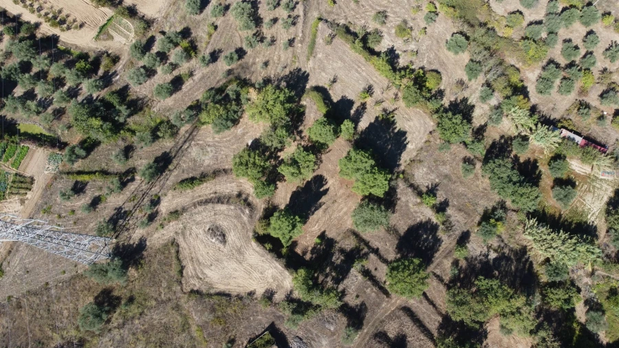 Terreno Agricola ou Rústico para Venda em Ferro Foto 2