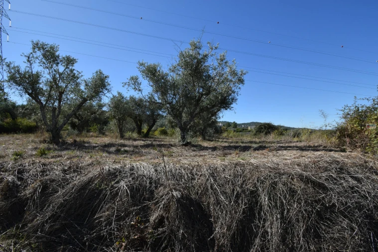 Terreno Agricola ou Rústico para Venda em Ferro Foto 25