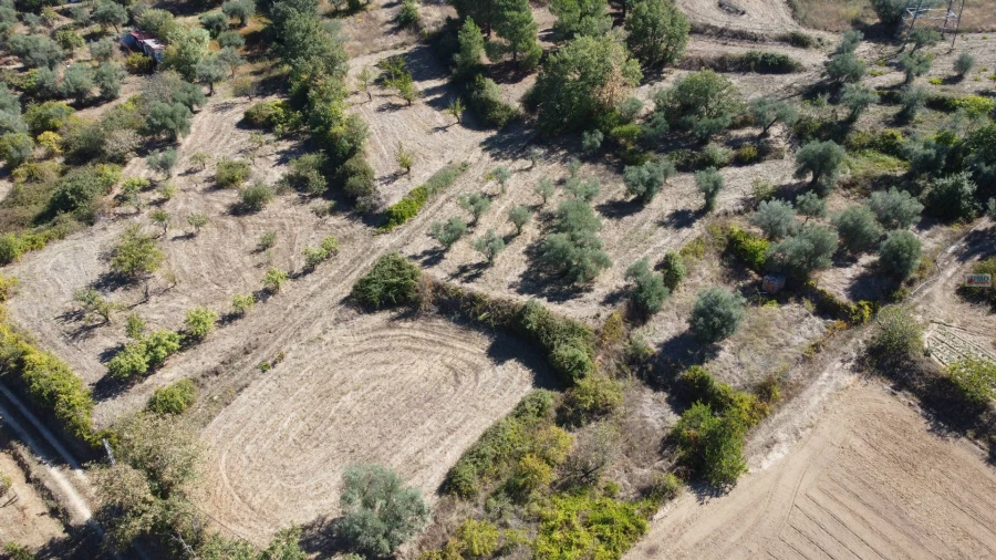 Terreno Agricola ou Rústico para Venda em Ferro Foto 7