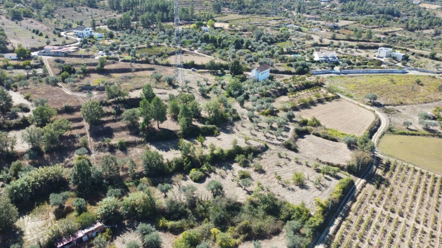 Terreno Agricola ou Rústico para Venda em Ferro Foto 6
