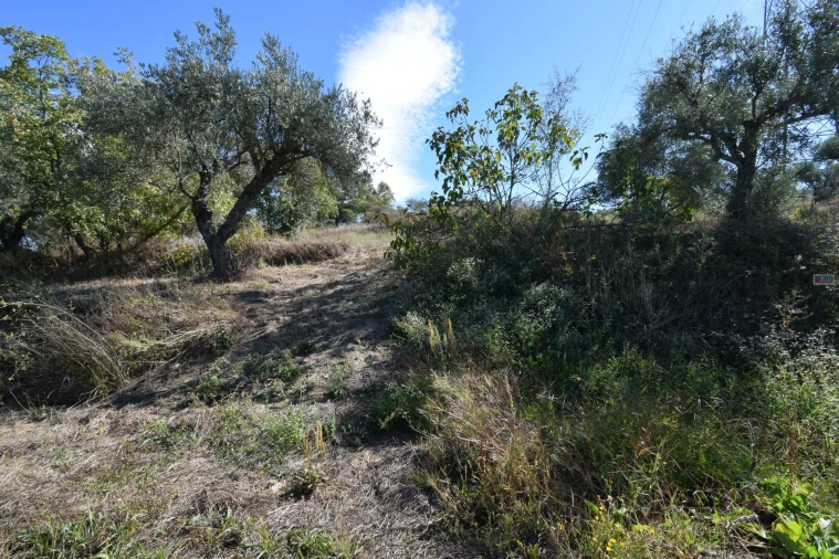 Terreno Agricola ou Rústico para Venda em Ferro Foto 12