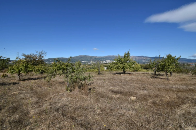 Terreno Agricola ou Rústico para Venda em Ferro Foto 17