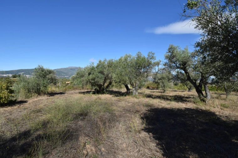 Terreno Agricola ou Rústico para Venda em Ferro Foto 13