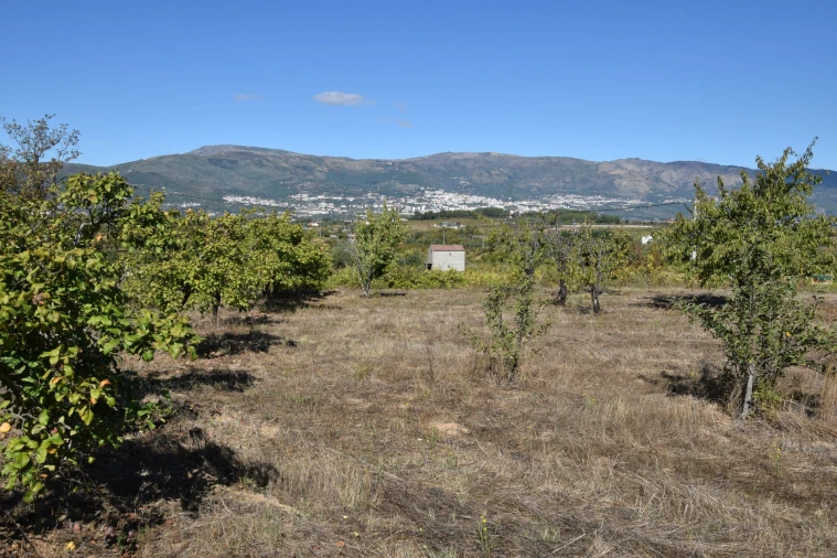 Terreno Agricola ou Rústico para Venda em Ferro Foto 16