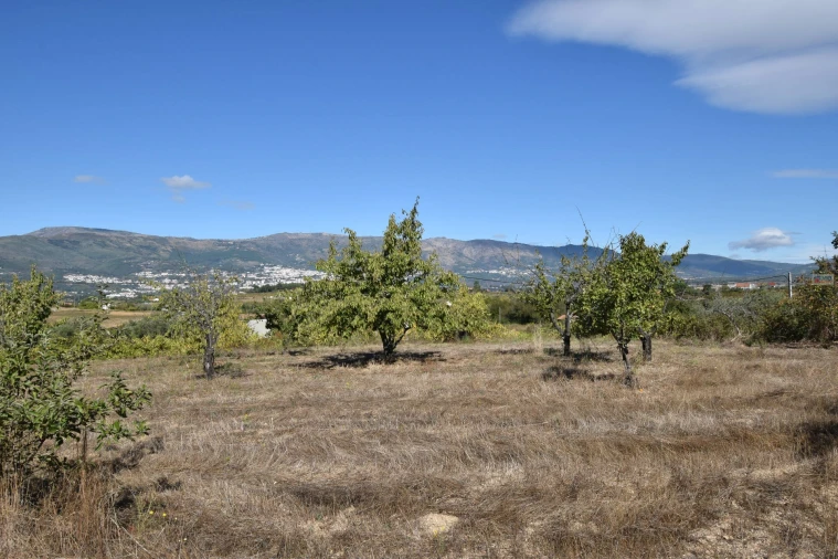 Terreno Agricola ou Rústico para Venda em Ferro Foto 19