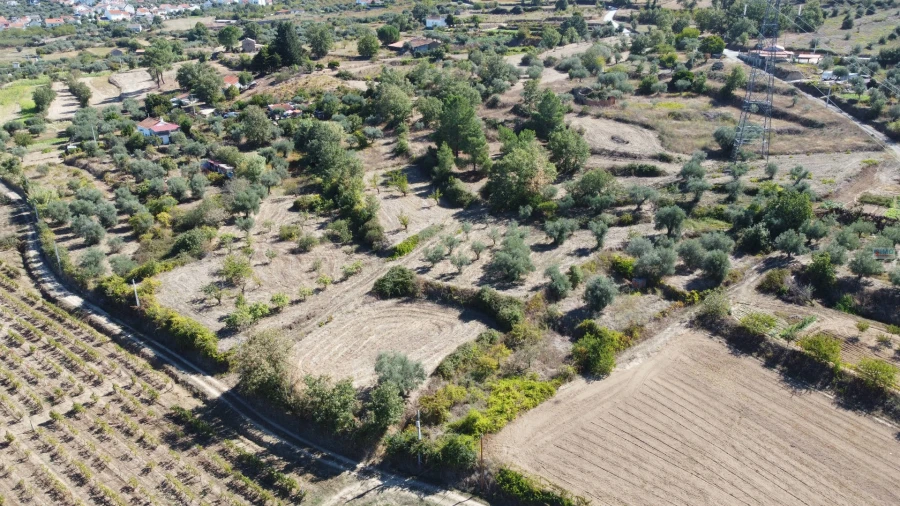 Terreno Agricola ou Rústico para Venda em Ferro Foto 8