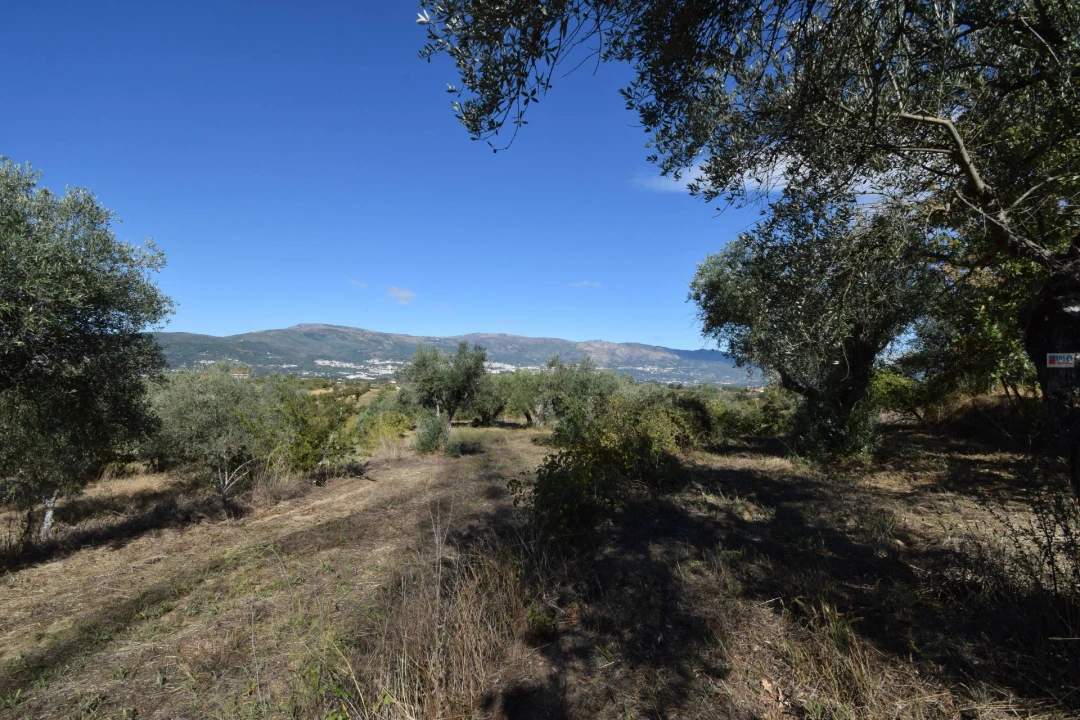 Terreno Agricola ou Rústico para Venda em Ferro Foto 11