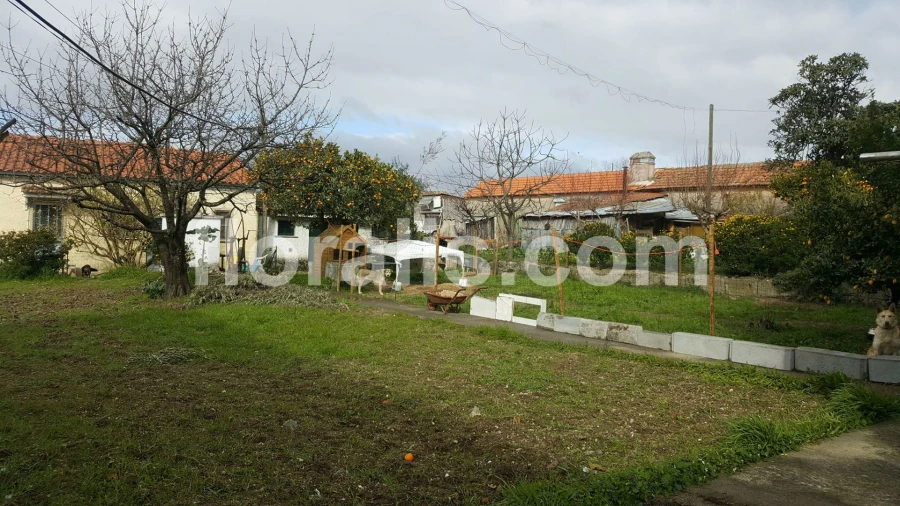 Moradia T0 para Venda em Viseu Foto 6