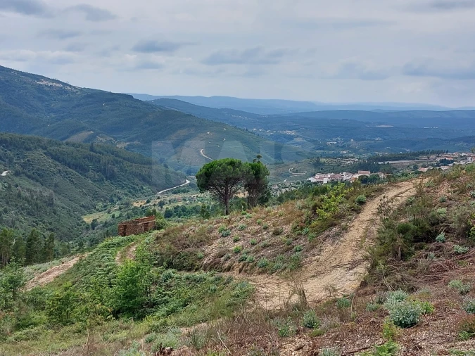 Terreno para Venda em Cerdeira e Moura da Serra Foto 6