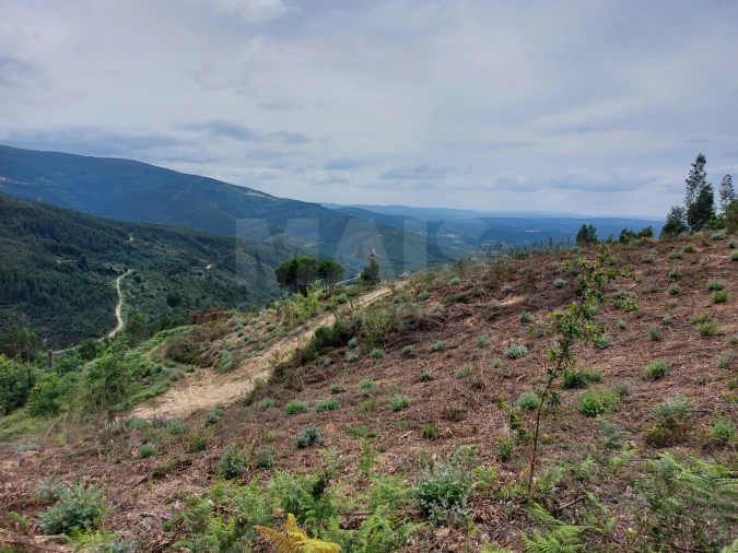 Terreno para Venda em Cerdeira e Moura da Serra Foto 4