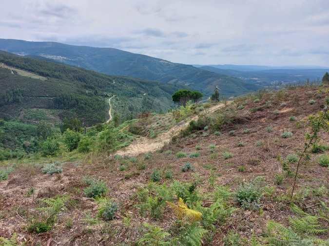 Terreno para Venda em Cerdeira e Moura da Serra Foto 7