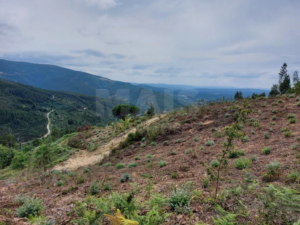 Terreno para Venda em Cerdeira e Moura da Serra Foto 4