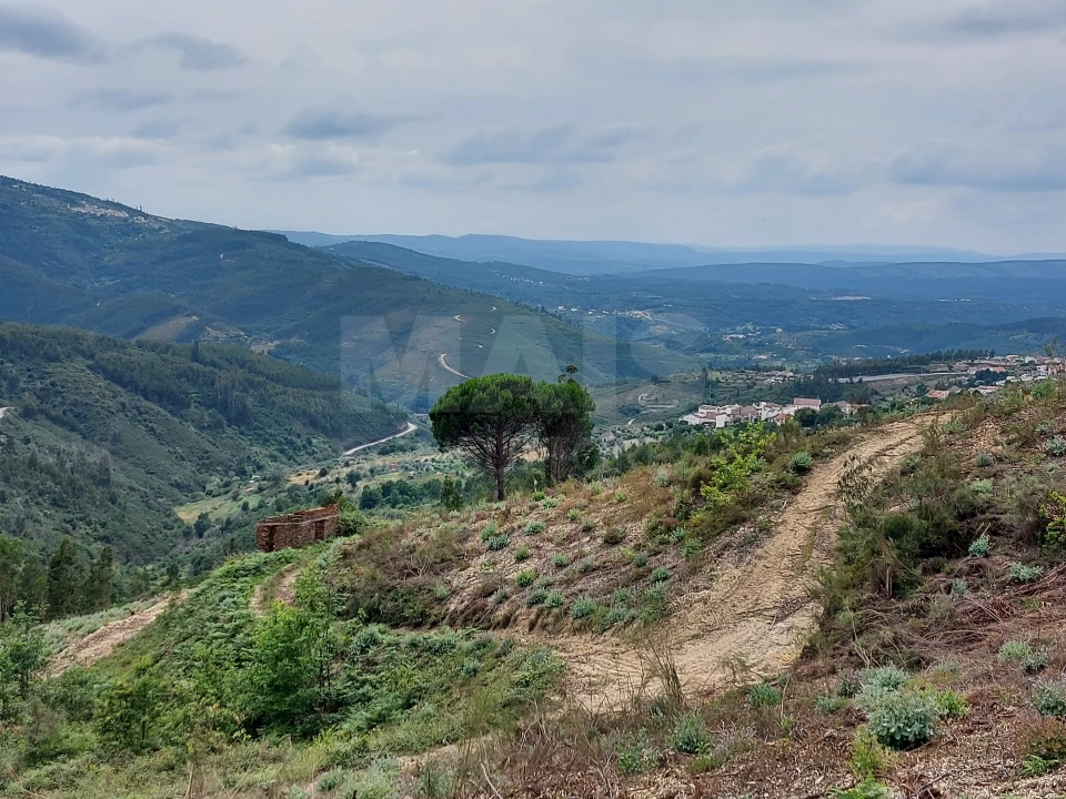 Terreno para Venda em Cerdeira e Moura da Serra Foto 3
