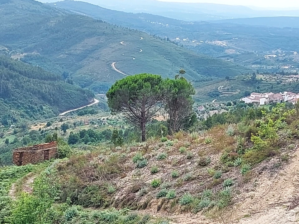 Terreno para Venda em Cerdeira e Moura da Serra Foto 5