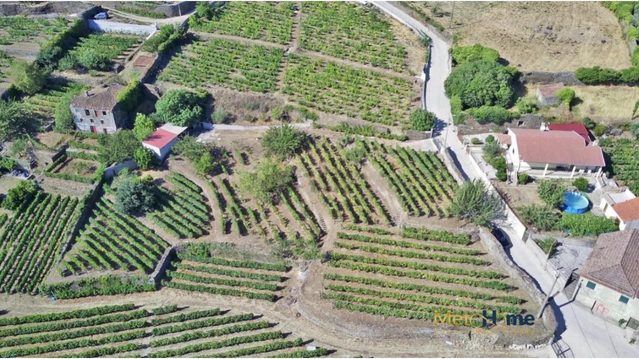 Terreno para Venda em Provesende, Gouvães Douro, São Cristóvão Douro Foto 1