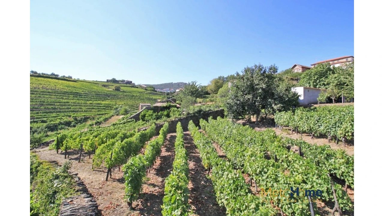 Terreno para Venda em Provesende, Gouvães Douro, São Cristóvão Douro Foto 2