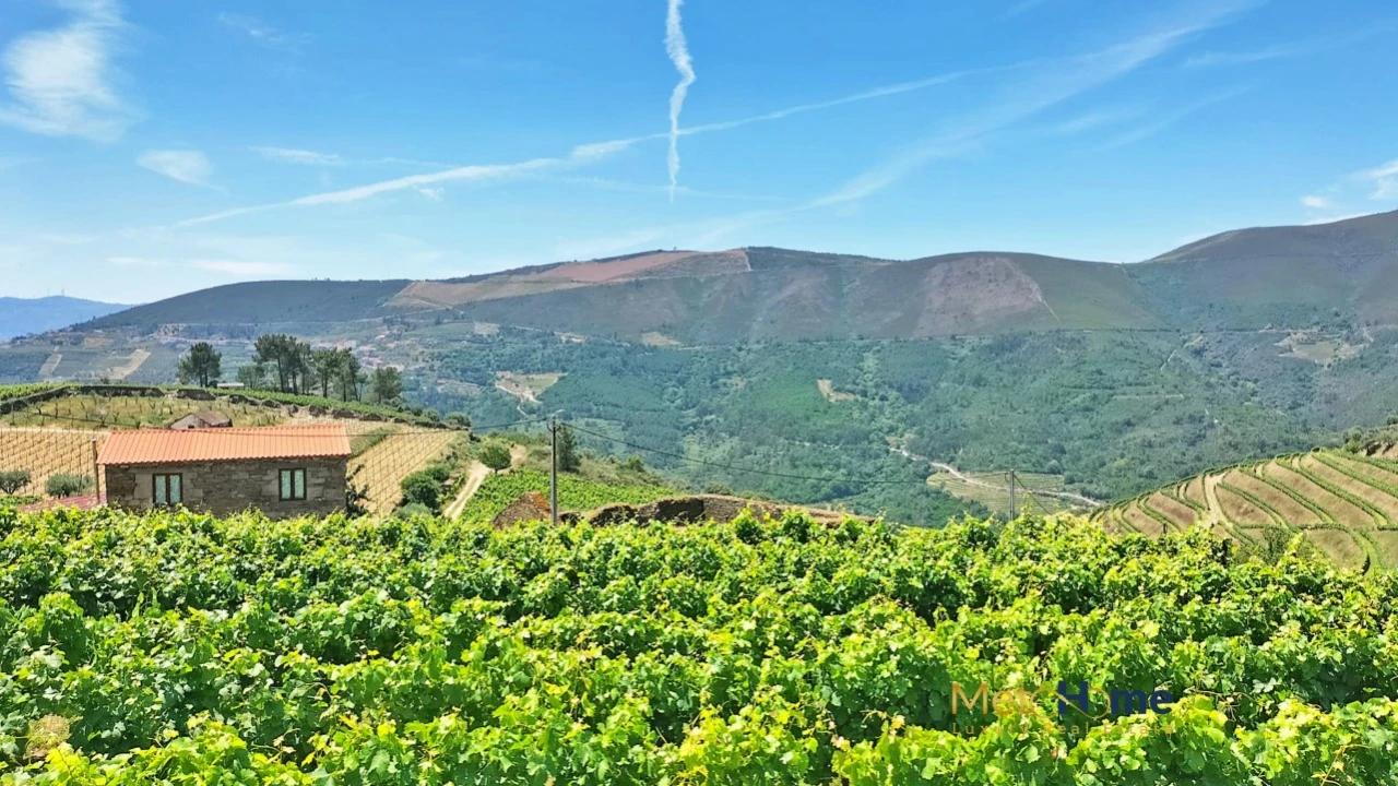 Terreno para Venda em Provesende, Gouvães Douro, São Cristóvão Douro Foto 8