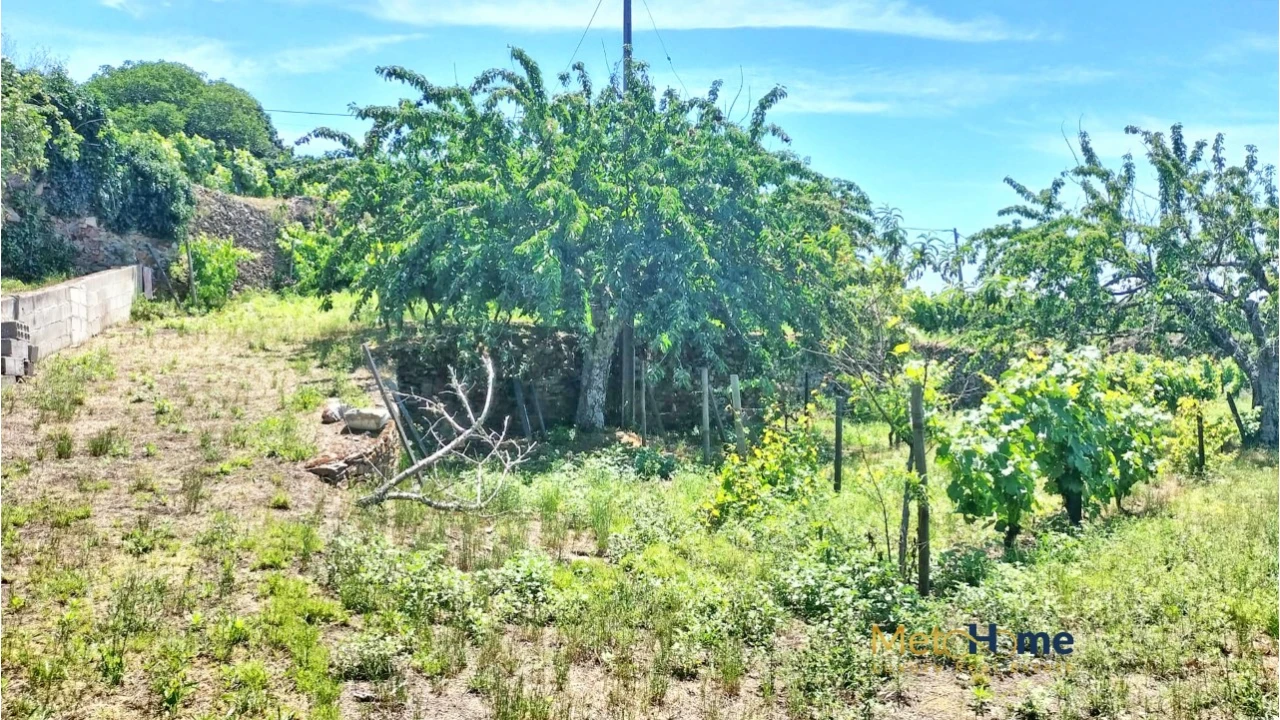 Terreno para Venda em Provesende, Gouvães Douro, São Cristóvão Douro Foto 12