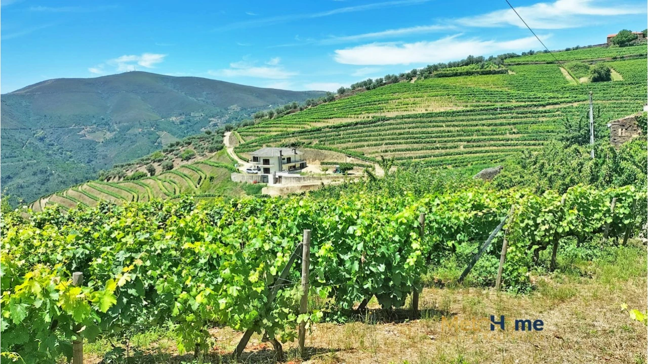 Terreno para Venda em Provesende, Gouvães Douro, São Cristóvão Douro Foto 14