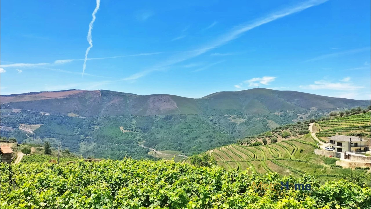 Terreno para Venda em Provesende, Gouvães Douro, São Cristóvão Douro Foto 16